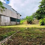 Commercial Business Potential