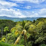 5.79 Acres Lot in Cortes