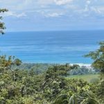 Near Pristine Beaches