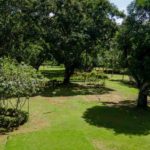 Proximity to Quepos Airport