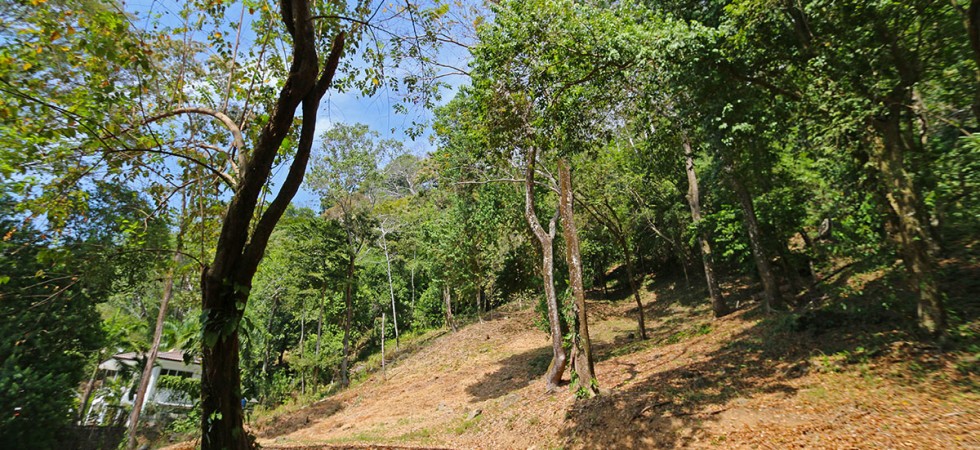 Two Acre Luxury Estate Building Site In Playa Domincial