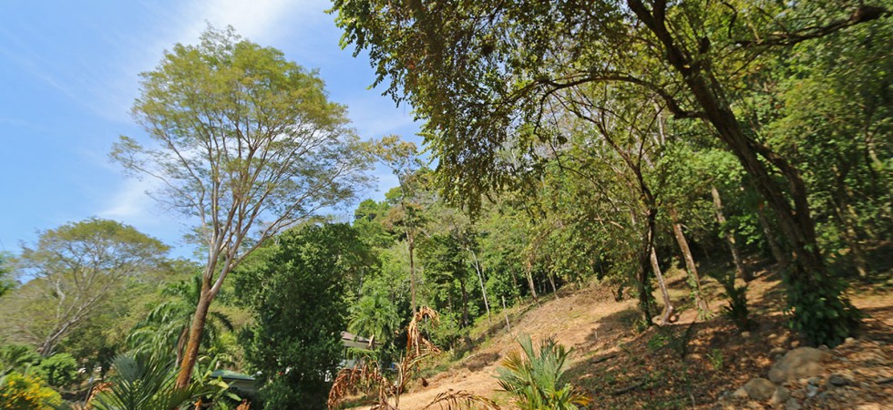 Two Acre Luxury Estate Building Site In Playa Domincial