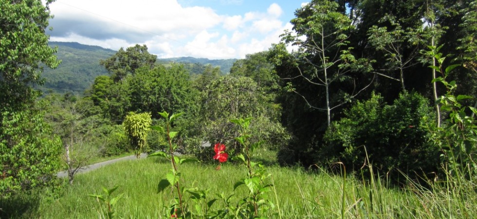 Over Three Acre Land Parcel In Platanillo With Multiple Building Sites