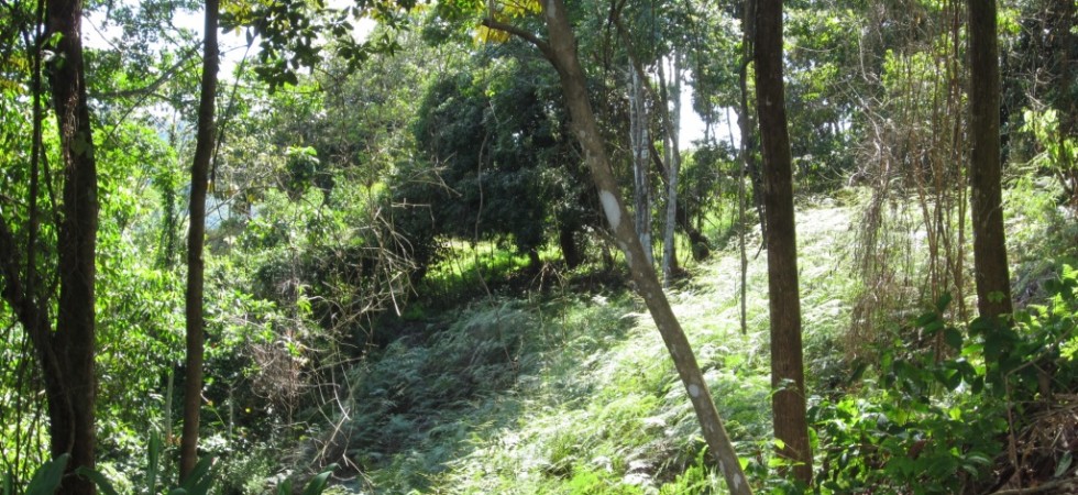 Over Three Acre Land Parcel In Platanillo With Multiple Building Sites