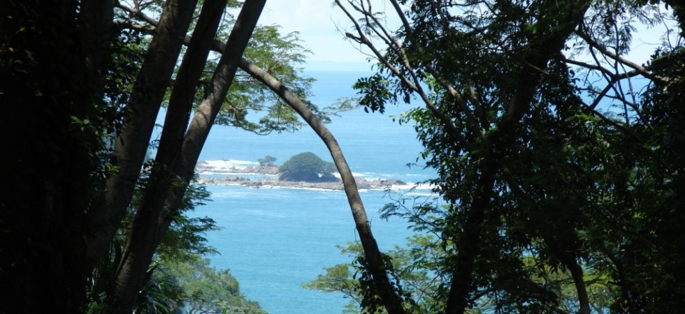 Fire Sale Large Lot Close To The Beach For High End Home in Playa Dominical