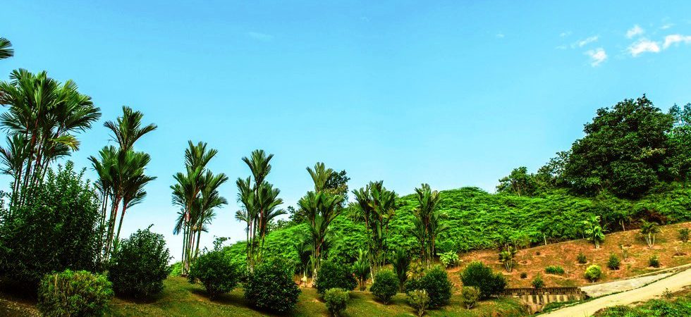 Premier Land Parcels with Ocean or Valley Views at Costa Verde Estates