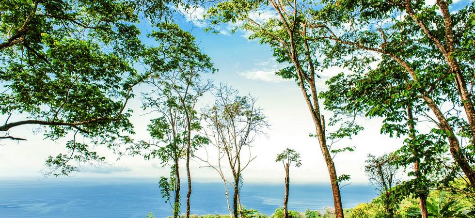 Premier Land Parcels with Ocean or Valley Views at Costa Verde Estates