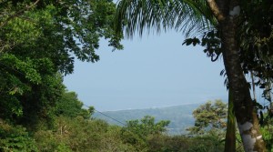 Ocean and Mountain View Lot in Lagunas Near Dominical Beach