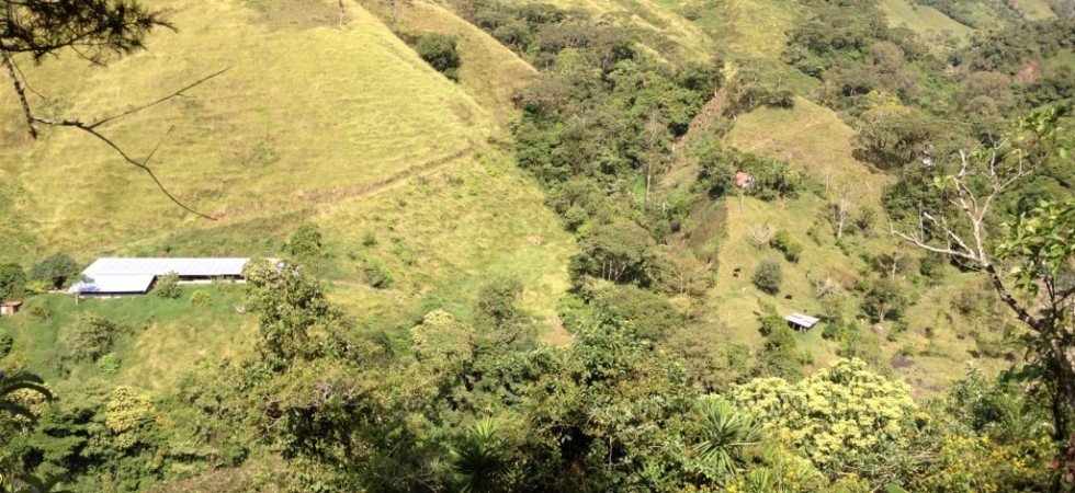 Three Acre Mountain Farmland Above San Isidro del General