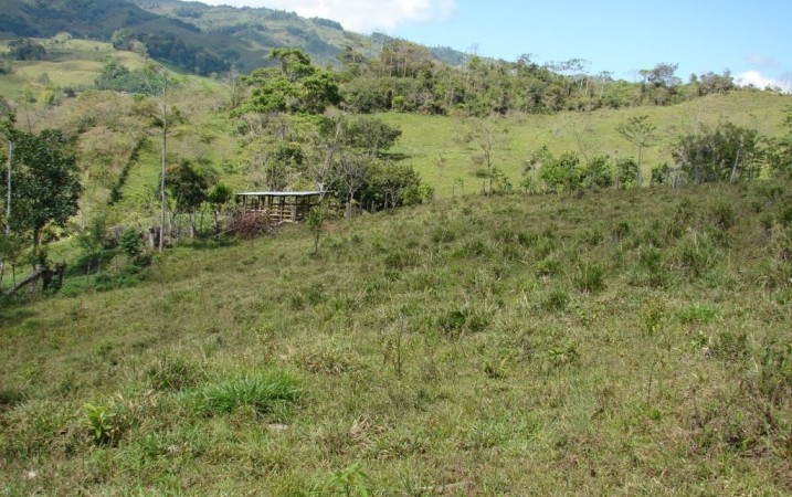 21 Acres of Farm Land Near San Isidro With 2 Bedroom Cabin