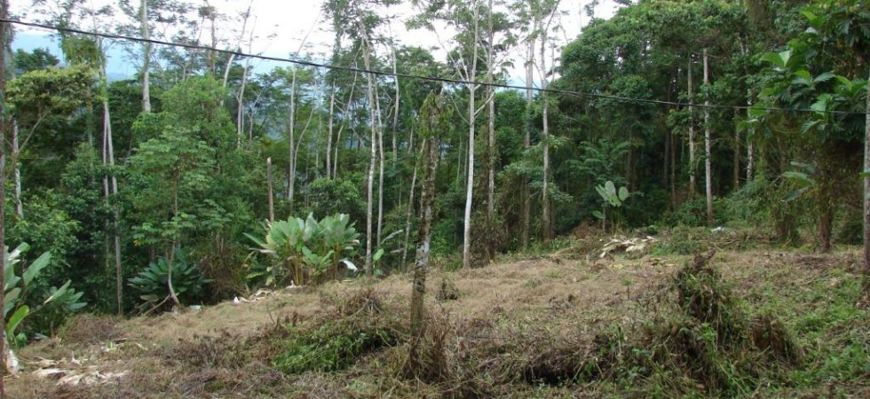 2.5 Acre Residential Development Lots at Bosques de Lagunas