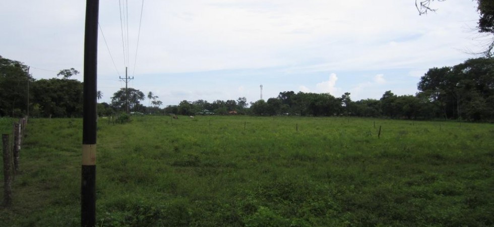 Half Acre Lot in Dominical Just 5 minutes to the Beach