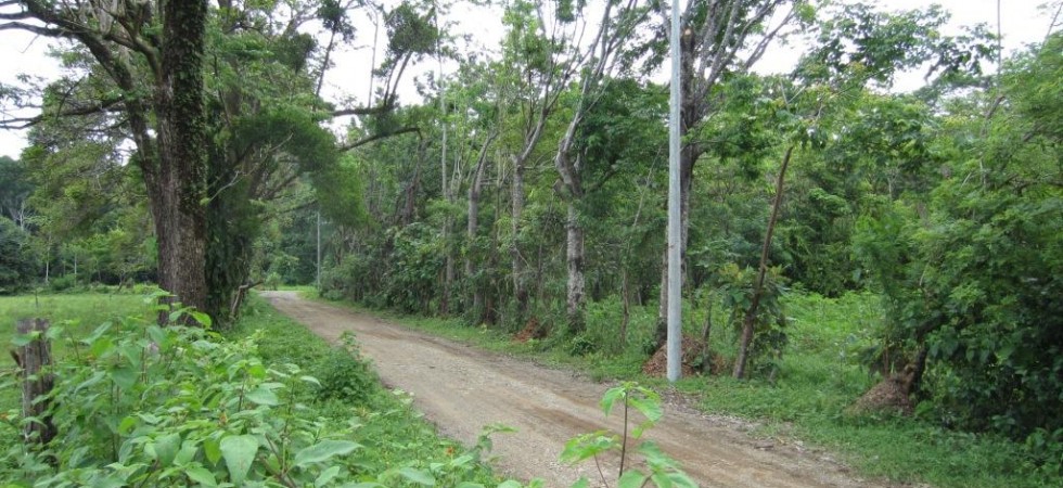 Half Acre Lot in Dominical Just 5 minutes to the Beach