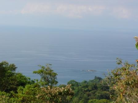Over a Half Acre of Ocean View Land in Escaleras Dominical