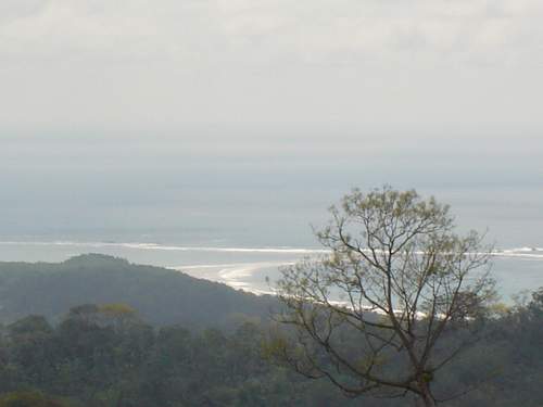2 Acre Rainforest Lot with Ocean Views of Marino Ballena