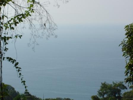 Over a Half Acre of Ocean View Land in Escaleras Dominical