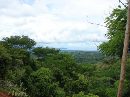 26 Acre Farmland in Jungle Setting with Ocean View