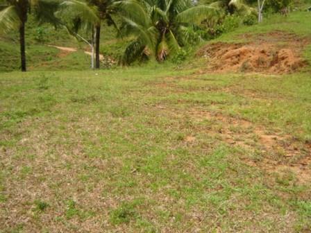 Playa Dominical Ocean View 1.5 Acre Lot for Sale