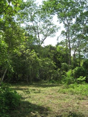 Two Riverfront Development Lots Available to Buy in Hatillo