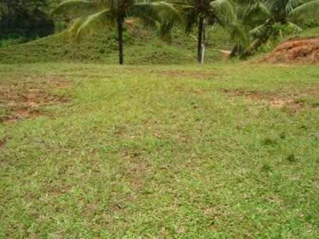 Playa Dominical Ocean View 1.5 Acre Lot for Sale
