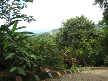 Rancho Lagunas Premier Residential Lots in Dominical