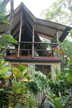 Rainforest Bungalow for Nature Lovers in Manuel Antonio
