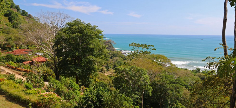 Perfect Beachfront Development Site in Playa Dominical