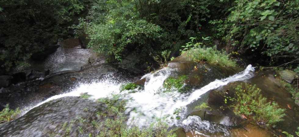 Over 7 Acres in the Platanillo Mountains with Private Waterfall