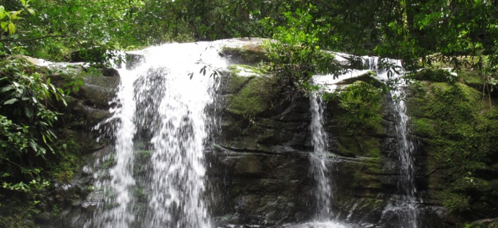 Over 7 Acres in the Platanillo Mountains with Private Waterfall
