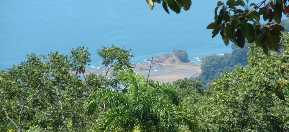 6 Ocean View Acres in Dominical With No Building Restrictions