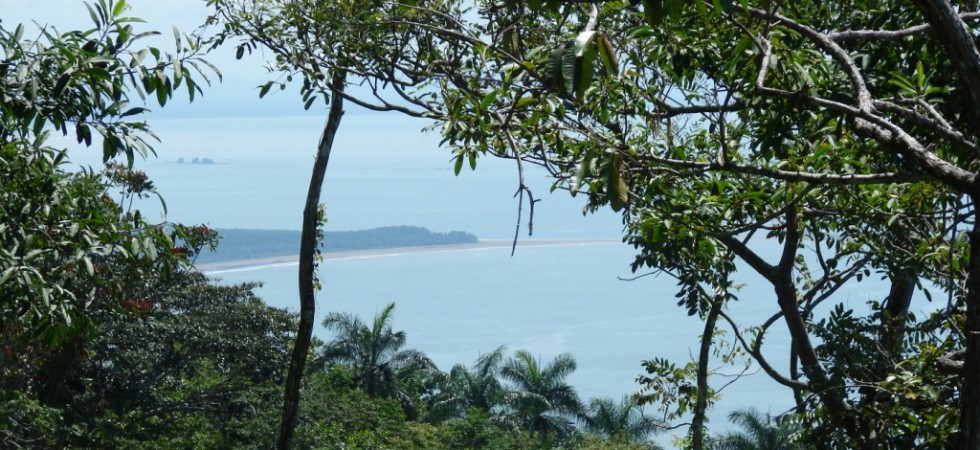 6 Ocean View Acres in Dominical With No Building Restrictions
