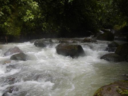 69 Acres Cascada de Punta Mala River Property with Waterfalls