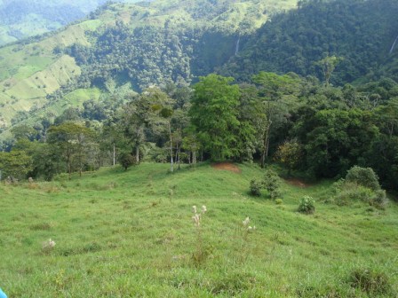 214 Acre Savegre Waterfall Farm Perfect for Conservation or Ecotourism