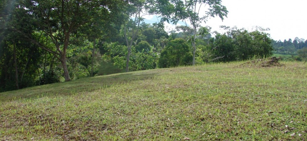 28 Acre San Isidro Farm Property with Perfect Climate