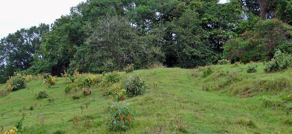 Over Nine Acre Land Parcel With Ocean Views on Tropical Hillside