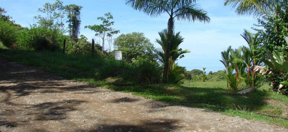 Premiere Oceanfront Lot in the Finest Neighborhood in Dominical