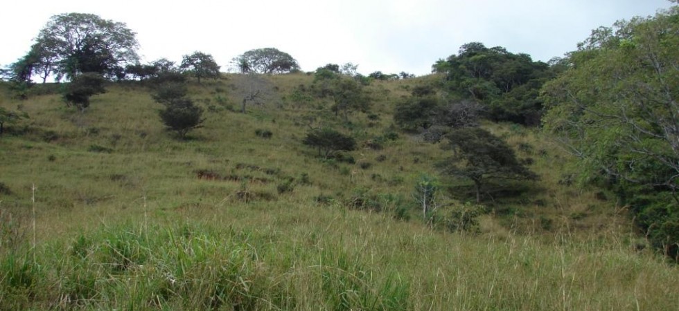 72 Acres of Farmland with Spring Water in Central Costa Rica
