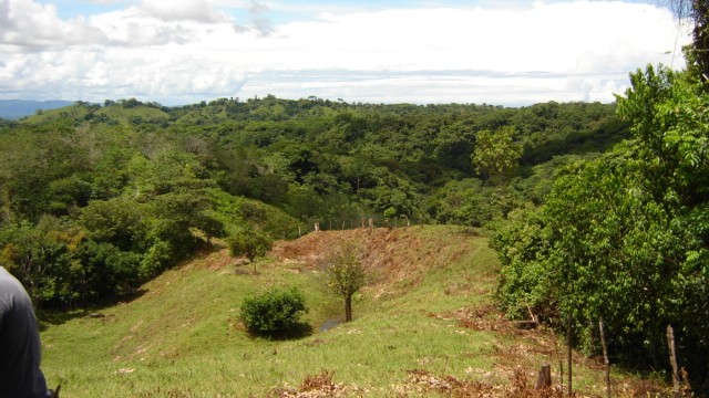 Lots of Usable Acreage