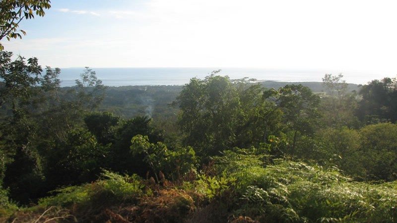 Over 12 Acres with Ocean Views and a River in Uvita