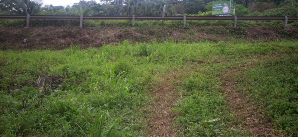 Over 12 Acres in Uvita with Commercial Building Potential