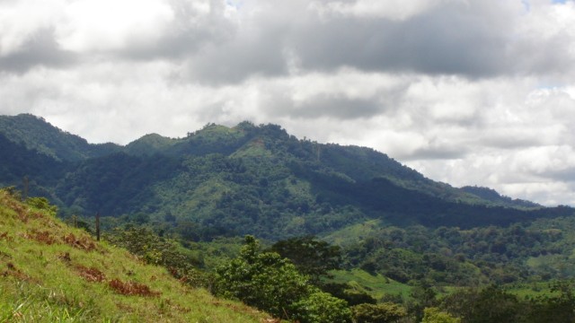 Mountain Views
