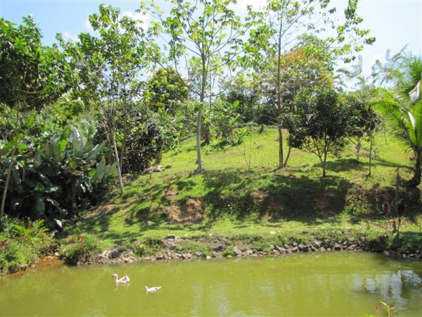 Two Villas on Five Subdividable Acres in the Jungles of Uvita