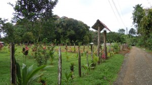 90 Acre Farm with Subdivideable Land Outside of Quepos
