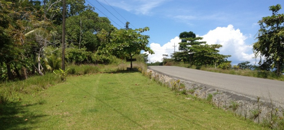 12 Acre Commercial Building Site with Highway Frontage In Osa
