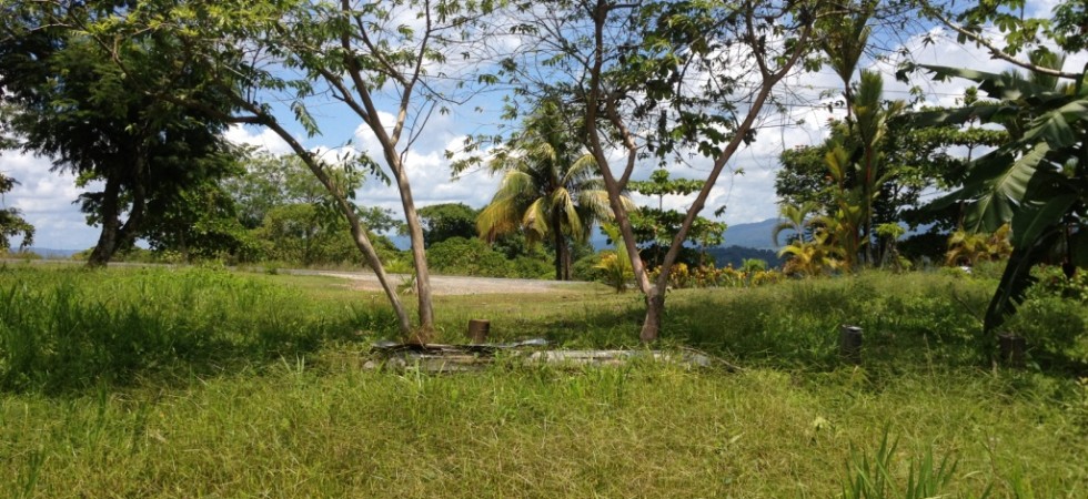 12 Acre Commercial Building Site with Highway Frontage In Osa