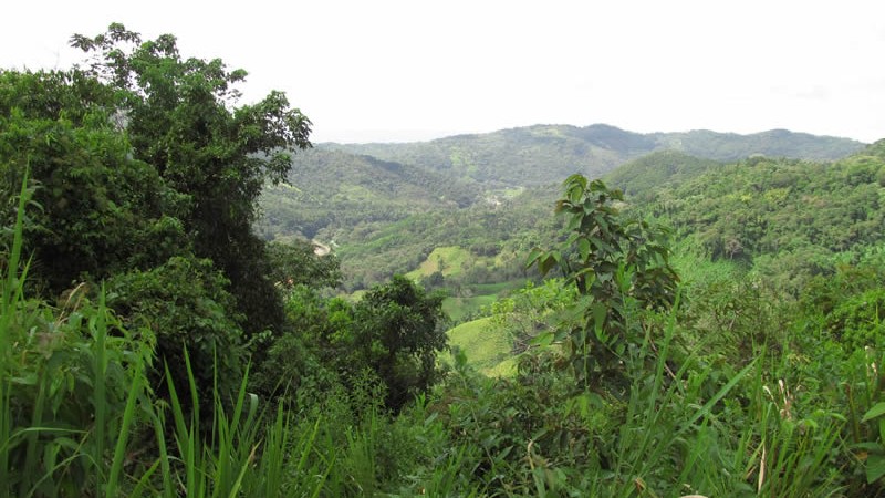 30 Acre Fertile Farmland Ranch in Platanillo Above Dominical