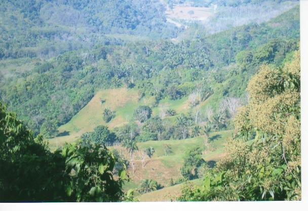 30 Acre Fertile Farmland Ranch in Platanillo Above Dominical