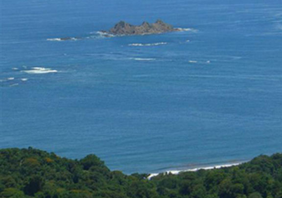 312 Acres of Spectacular Ocean View Land in Ojochal