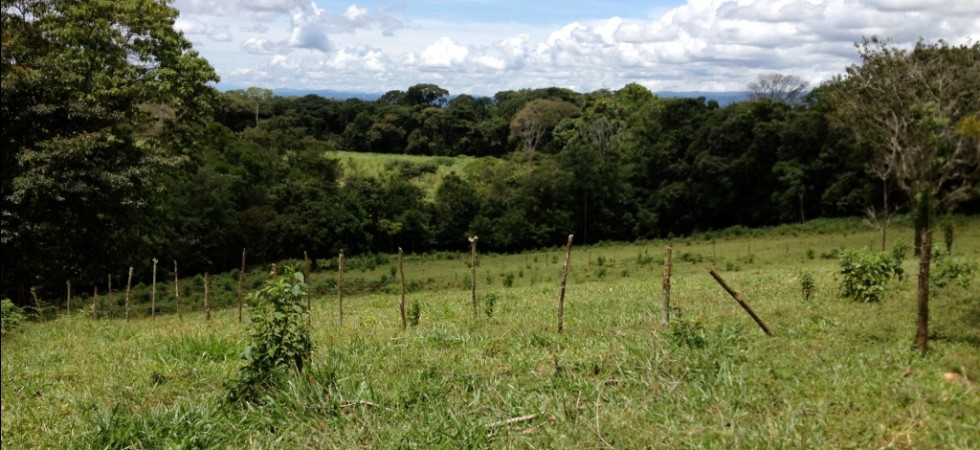 110 Acres Ideally Located in the Center of the City of San Isidro