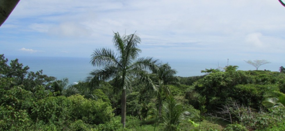 Paradise Estates Building Lots Above Dominical Beach
